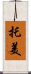 托美 Scroll