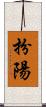 扮陽 Scroll