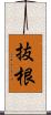 抜根 Scroll