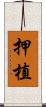 押植 Scroll