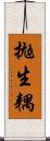 拋生耦 Scroll