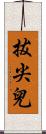 拔尖兒 Scroll