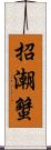 招潮蟹 Scroll