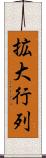 拡大行列 Scroll