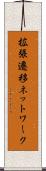 拡張遷移ネットワーク Scroll