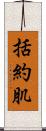 括約肌 Scroll