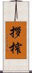 拶榨 Scroll