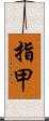 指甲 Scroll