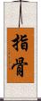 指骨 Scroll