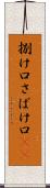 捌け口 Scroll