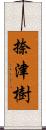 捺津樹 Scroll