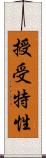 授受特性 Scroll