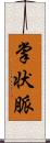 掌状脈 Scroll