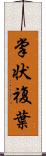 掌状複葉 Scroll