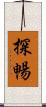 探暢 Scroll