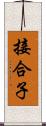 接合子 Scroll