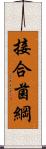 接合菌綱 Scroll