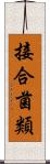 接合菌類 Scroll