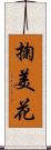 掬美花 Scroll