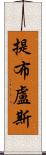 提布盧斯 Scroll