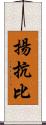 揚抗比 Scroll