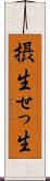 摂生 Scroll