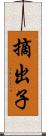 摘出子 Scroll