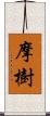 摩樹 Scroll