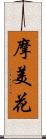 摩美花 Scroll