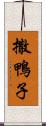 撒鴨子 Scroll
