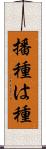 播種 Scroll