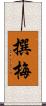 撰梅 Scroll