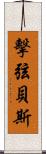 擊弦貝斯 Scroll