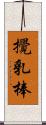 攪乳棒 Scroll