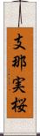 支那実桜 Scroll