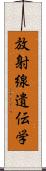 放射線遺伝学 Scroll