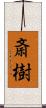 斎樹 Scroll