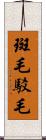 斑毛;駁毛 Scroll