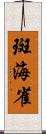 斑海雀 Scroll