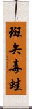 斑矢毒蛙 Scroll
