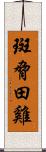 斑脅田雞 Scroll