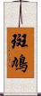 斑鳩 Scroll