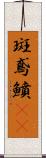 斑鳶鱝(oK) Scroll