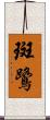 斑鷺 Scroll