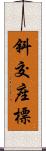 斜交座標 Scroll