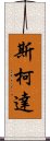 斯柯達 Scroll