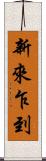 新來乍到 Scroll