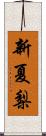 新夏梨 Scroll