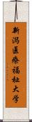 新潟医療福祉大学 Scroll