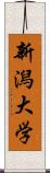 新潟大学 Scroll